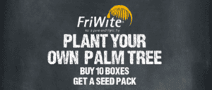 Plant Your Own Palm Tree with FriWite
