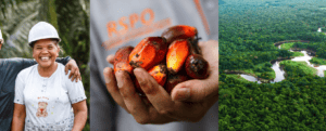 Become a Palm Oil Ambassador Today!