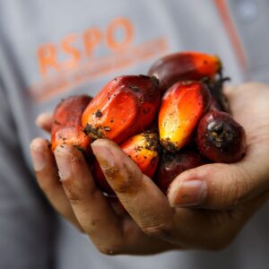 RSPO Palm Oil 
